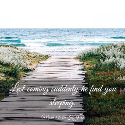 Picture 03 - Mark 13:36 KJV - Lest coming suddenly he find you - Bible Verse Picture