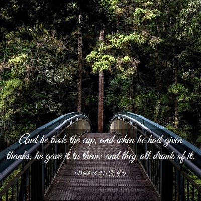 Picture 03 - Mark 14:23 KJV - And he took the cup, and when he had given - Bible Verse Picture