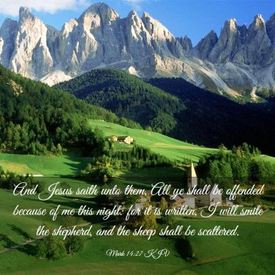 Picture 03 - Mark 14:27 KJV - And Jesus saith unto them, All ye shall be - Bible Verse Picture