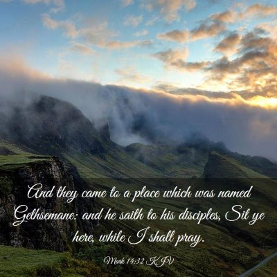Picture 03 - Mark 14:32 KJV - And they came to a place which was named - Bible Verse Picture
