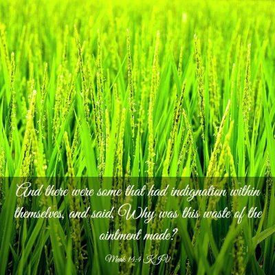 Picture 03 - Mark 14:4 KJV - And there were some that had indignation within - Bible Verse Picture