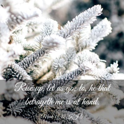 Picture 03 - Mark 14:42 KJV - Rise up, let us go; lo, he that betrayeth me is - Bible Verse Picture