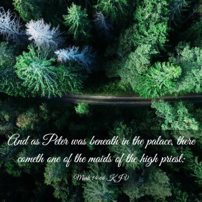 Picture 03 - Mark 14:66 KJV - And as Peter was beneath in the palace, there - Bible Verse Picture