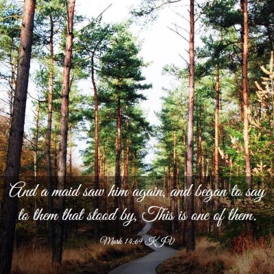 Picture 03 - Mark 14:69 KJV - And a maid saw him again, and began to say to - Bible Verse Picture