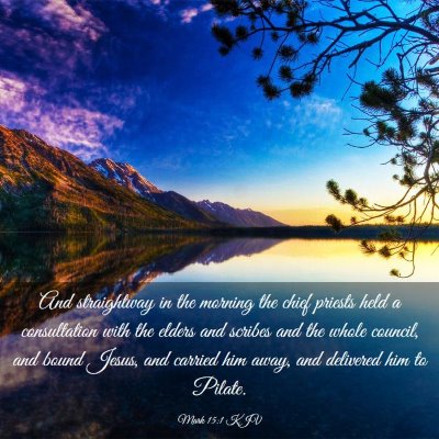Picture 03 - Mark 15:1 KJV - And straightway in the morning the chief priests - Bible Verse Picture