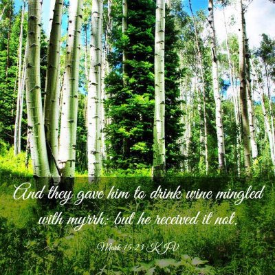 Picture 03 - Mark 15:23 KJV - And they gave him to drink wine mingled with - Bible Verse Picture