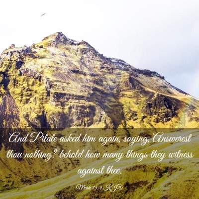 Picture 03 - Mark 15:4 KJV - And Pilate asked him again, saying, Answerest - Bible Verse Picture