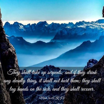 Picture 03 - Mark 16:18 KJV - They shall take up serpents; and if they drink - Bible Verse Picture