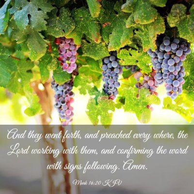 Picture 03 - Mark 16:20 KJV - And they went forth, and preached every where, - Bible Verse Picture