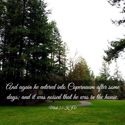 Picture 03 - Mark 2:1 KJV - And again he entered into Capernaum after some - Bible Verse Picture