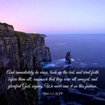 Picture 03 - Mark 2:12 KJV - And immediately he arose, took up the bed, and - Bible Verse Picture