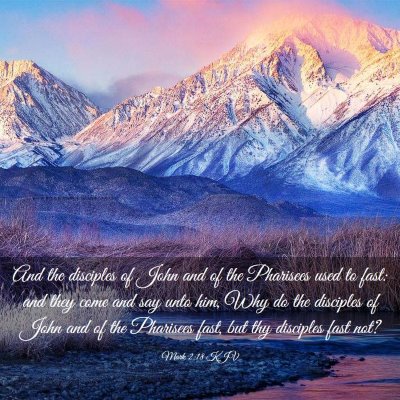 Picture 03 - Mark 2:18 KJV - And the disciples of John and of the Pharisees - Bible Verse Picture