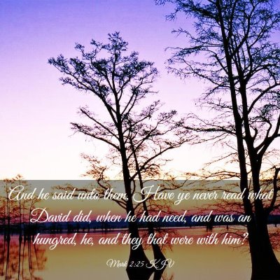 Picture 03 - Mark 2:25 KJV - And he said unto them, Have ye never read what - Bible Verse Picture