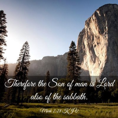 Picture 03 - Mark 2:28 KJV - Therefore the Son of man is Lord also of the - Bible Verse Picture