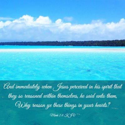 Picture 03 - Mark 2:8 KJV - And immediately when Jesus perceived in his - Bible Verse Picture