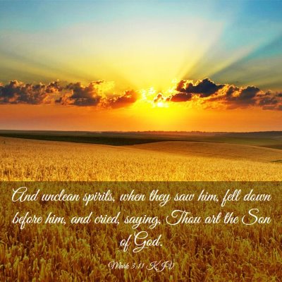 Picture 03 - Mark 3:11 KJV - And unclean spirits, when they saw him, fell down - Bible Verse Picture