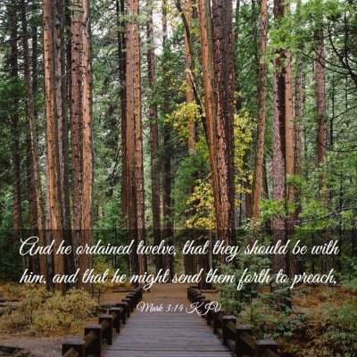 Picture 03 - Mark 3:14 KJV - And he ordained twelve, that they should be with - Bible Verse Picture