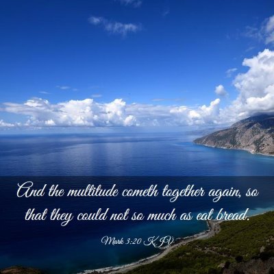 Picture 03 - Mark 3:20 KJV - And the multitude cometh together again, so that - Bible Verse Picture