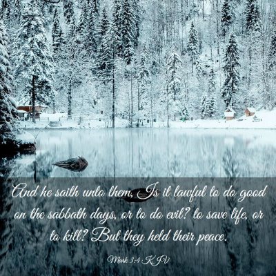 Picture 03 - Mark 3:4 KJV - And he saith unto them, Is it lawful to do good - Bible Verse Picture
