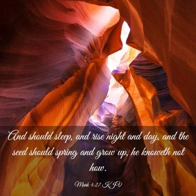Picture 03 - Mark 4:27 KJV - And should sleep, and rise night and day, and the - Bible Verse Picture