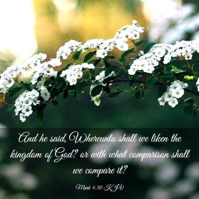 Picture 03 - Mark 4:30 KJV - And he said, Whereunto shall we liken the kingdom - Bible Verse Picture