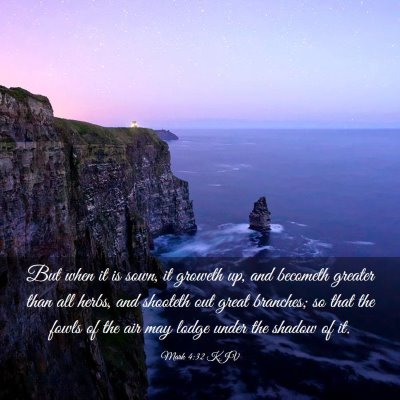 Picture 03 - Mark 4:32 KJV - But when it is sown, it groweth up, and becometh - Bible Verse Picture