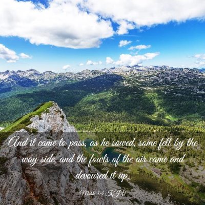 Picture 03 - Mark 4:4 KJV - And it came to pass, as he sowed, some fell by - Bible Verse Picture