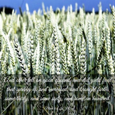 Picture 03 - Mark 4:8 KJV - And other fell on good ground, and did yield - Bible Verse Picture