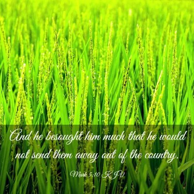 Picture 03 - Mark 5:10 KJV - And he besought him much that he would not send - Bible Verse Picture