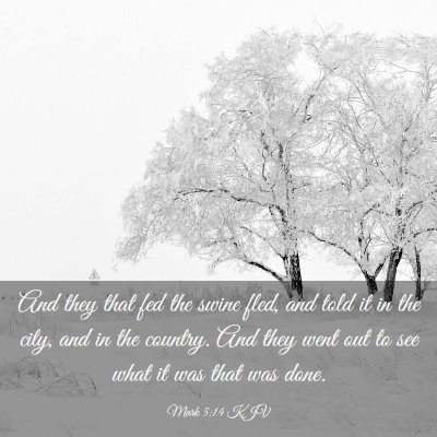 Picture 03 - Mark 5:14 KJV - And they that fed the swine fled, and told it in - Bible Verse Picture