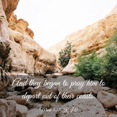 Picture 03 - Mark 5:17 KJV - And they began to pray him to depart out of their - Bible Verse Picture