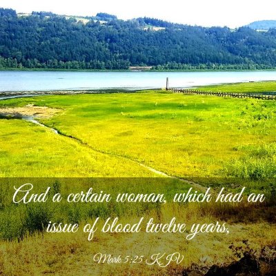 Picture 03 - Mark 5:25 KJV - And a certain woman, which had an issue of blood - Bible Verse Picture