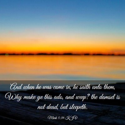 Picture 03 - Mark 5:39 KJV - And when he was come in, he saith unto them, Why - Bible Verse Picture