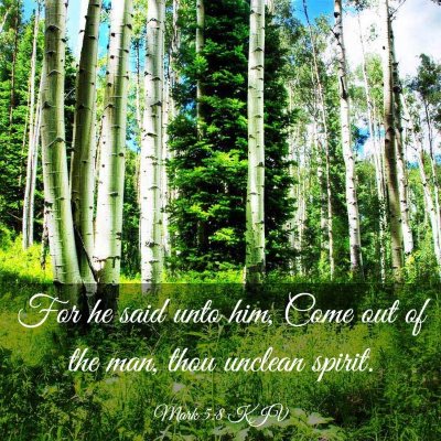 Picture 03 - Mark 5:8 KJV - For he said unto him, Come out of the man, thou - Bible Verse Picture