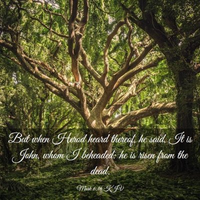 Picture 03 - Mark 6:16 KJV - But when Herod heard thereof, he said, It is - Bible Verse Picture