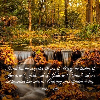 Picture 03 - Mark 6:3 KJV - Is not this the carpenter, the son of Mary, the - Bible Verse Picture