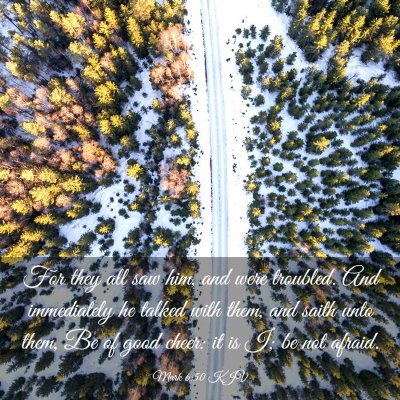 Picture 03 - Mark 6:50 KJV - For they all saw him, and were troubled. And - Bible Verse Picture
