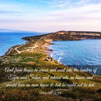 Picture 03 - Mark 7:24 KJV - And from thence he arose, and went into the - Bible Verse Picture