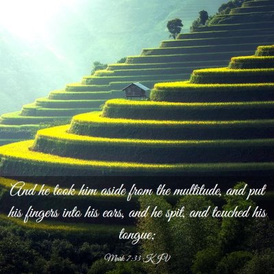 Picture 03 - Mark 7:33 KJV - And he took him aside from the multitude, and put - Bible Verse Picture