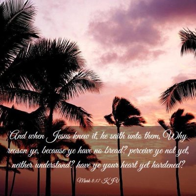 Picture 03 - Mark 8:17 KJV - And when Jesus knew it, he saith unto them, Why - Bible Verse Picture