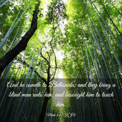 Picture 03 - Mark 8:22 KJV - And he cometh to Bethsaida; and they bring a - Bible Verse Picture