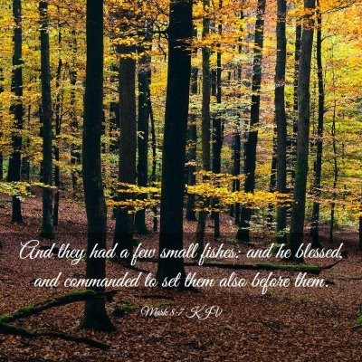 Picture 03 - Mark 8:7 KJV - And they had a few small fishes: and he blessed, - Bible Verse Picture