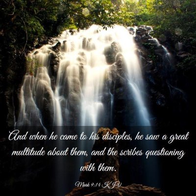 Picture 03 - Mark 9:14 KJV - And when he came to his disciples, he saw a great - Bible Verse Picture