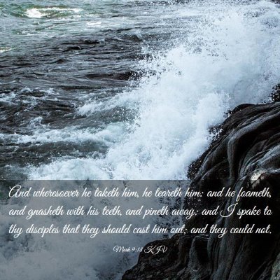 Picture 03 - Mark 9:18 KJV - And wheresoever he taketh him, he teareth him: - Bible Verse Picture