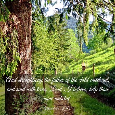Picture 03 - Mark 9:24 KJV - And straightway the father of the child cried - Bible Verse Picture