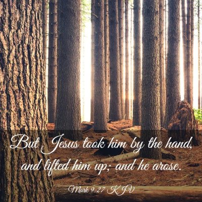 Picture 03 - Mark 9:27 KJV - But Jesus took him by the hand, and lifted him - Bible Verse Picture