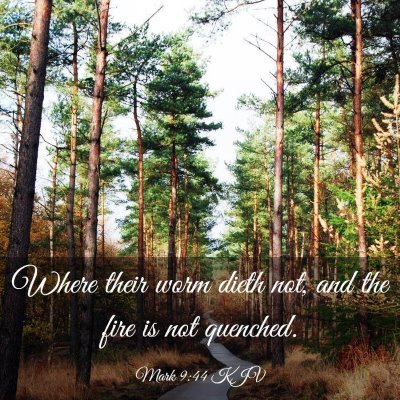 Picture 03 - Mark 9:44 KJV - Where their worm dieth not, and the fire is not - Bible Verse Picture