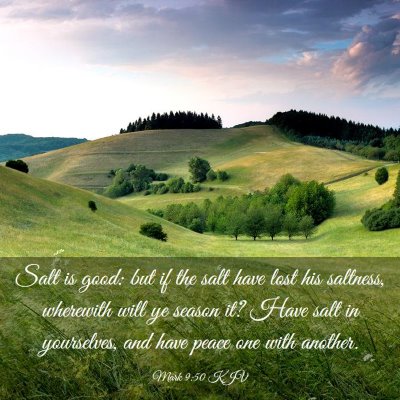 Picture 03 - Mark 9:50 KJV - Salt is good: but if the salt have lost his - Bible Verse Picture
