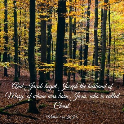 Picture 03 - Matthew 1:16 KJV - And Jacob begat Joseph the husband of Mary, of - Bible Verse Picture