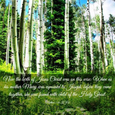 Picture 03 - Matthew 1:18 KJV - Now the birth of Jesus Christ was on this wise: - Bible Verse Picture